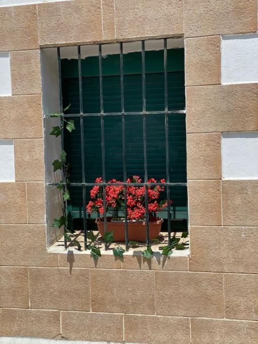 El Rincon Del Rey Apartment Torrejon del Rey Exterior foto